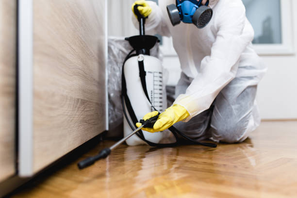 Best Pest Inspection Near Me  in El Sobrante, CA