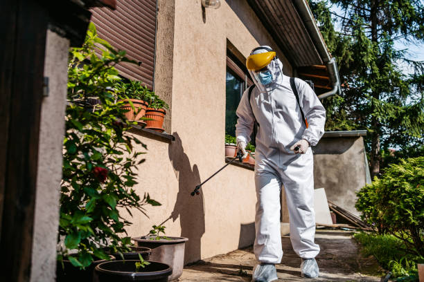 Best Pest Prevention Services  in El Sobrante, CA