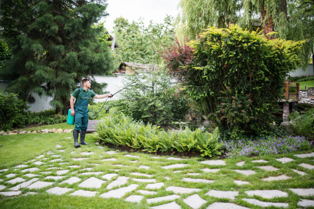 Best Best Pest Control Companies  in El Sobrante, CA