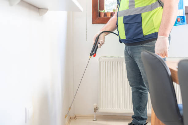 Best Affordable Pest Control Services  in El Sobrante, CA