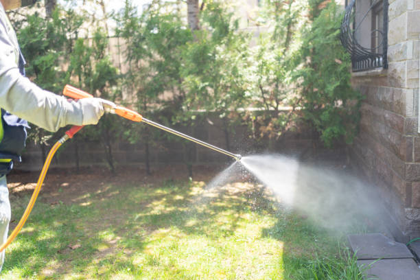 Best Wasp Removal Services  in El Sobrante, CA