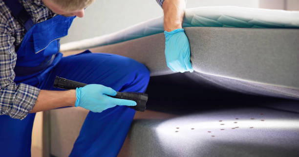 Best Pest Control Treatment  in El Sobrante, CA
